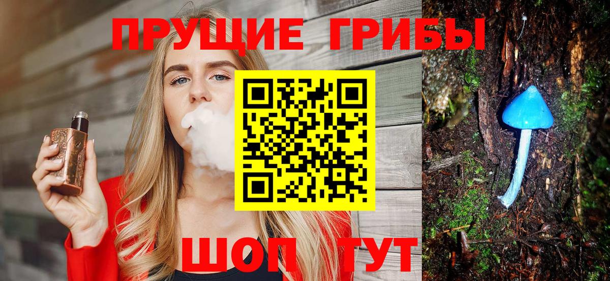 Галлюциногенные грибы Psilocybe  Вход с VPN  Елабуга 