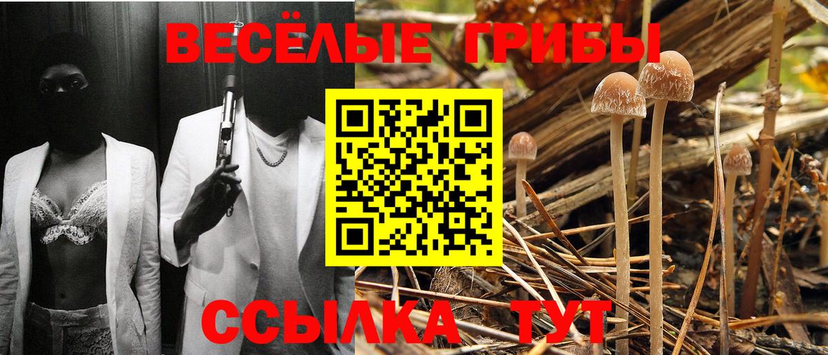 Галлюциногенные грибы прущие грибы Елабуга